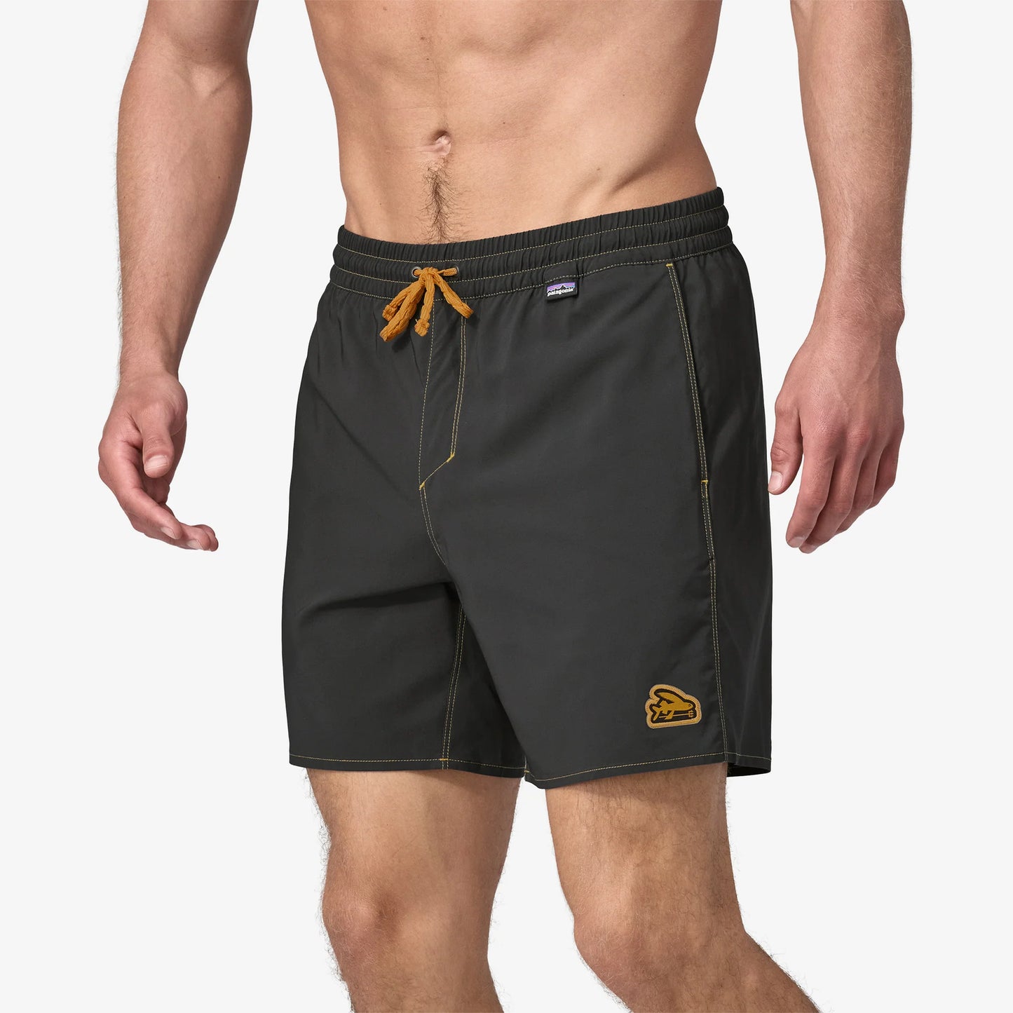 PATAGONIA - Men's Hydropeak Volley Shorts - 16" - INK BLACK